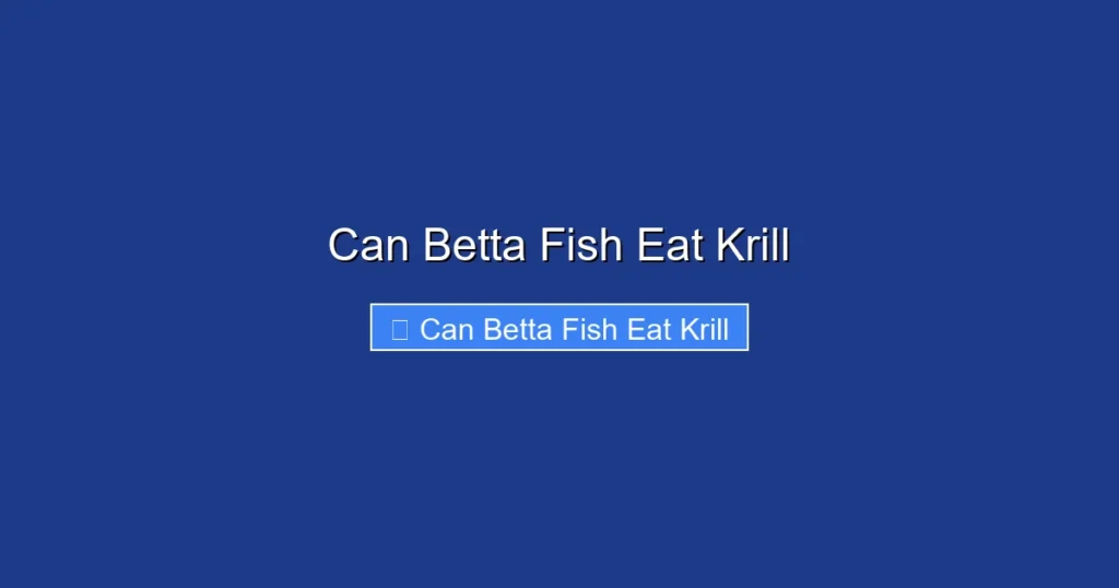 Can Betta Fish Eat Krill