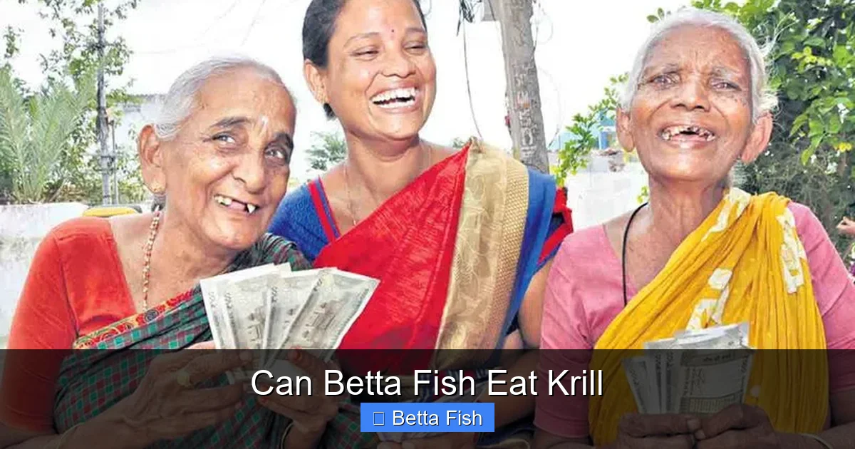 Can Betta Fish Eat Krill
