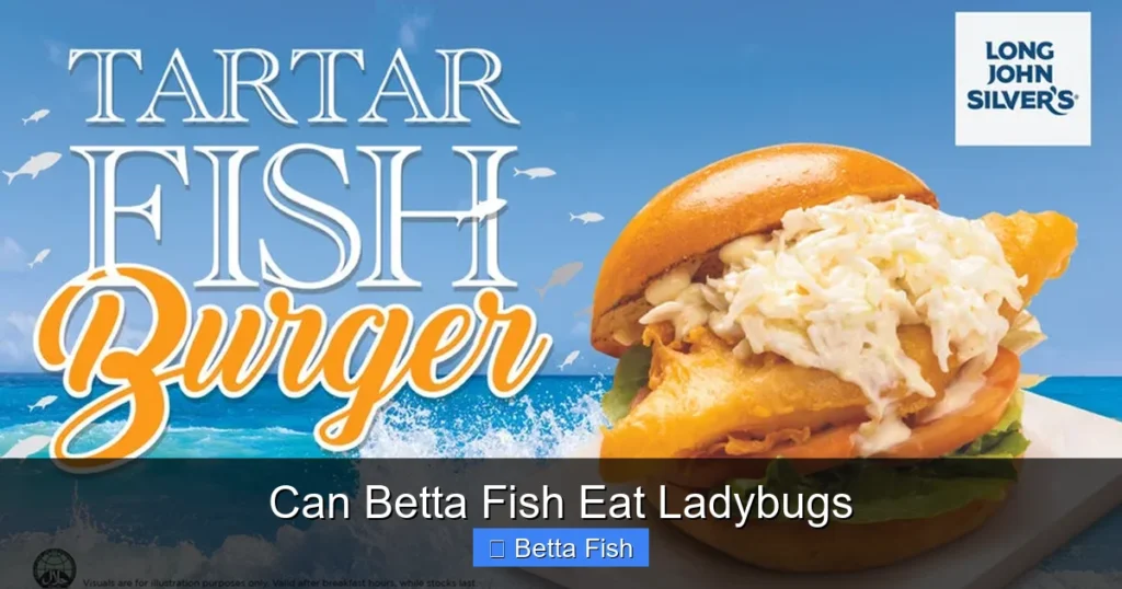 Can Betta Fish Eat Ladybugs