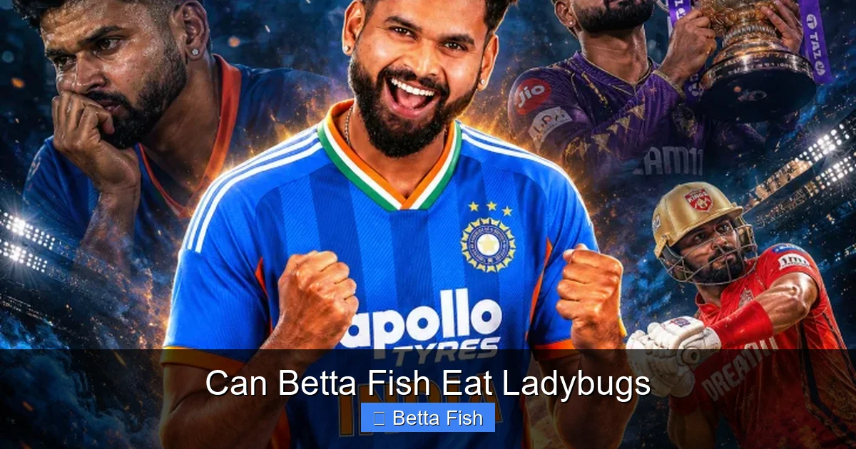 Can Betta Fish Eat Ladybugs