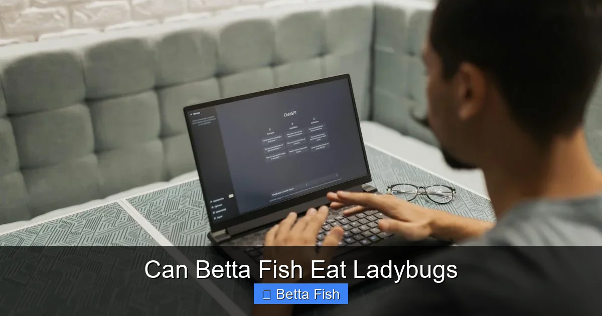 Can Betta Fish Eat Ladybugs
