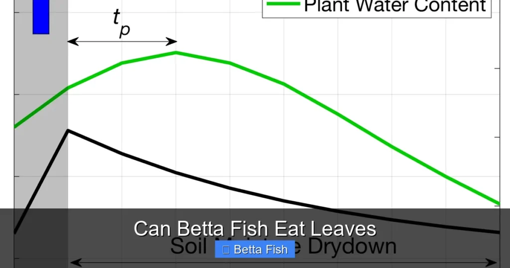 Can Betta Fish Eat Leaves