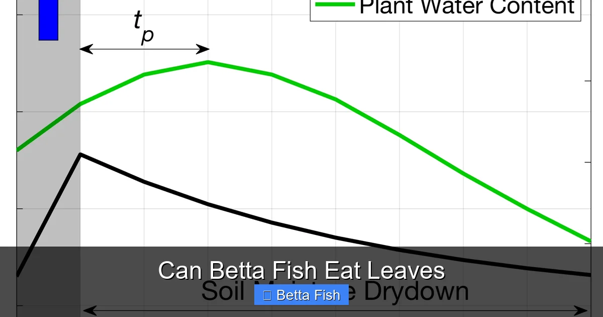 Can Betta Fish Eat Leaves