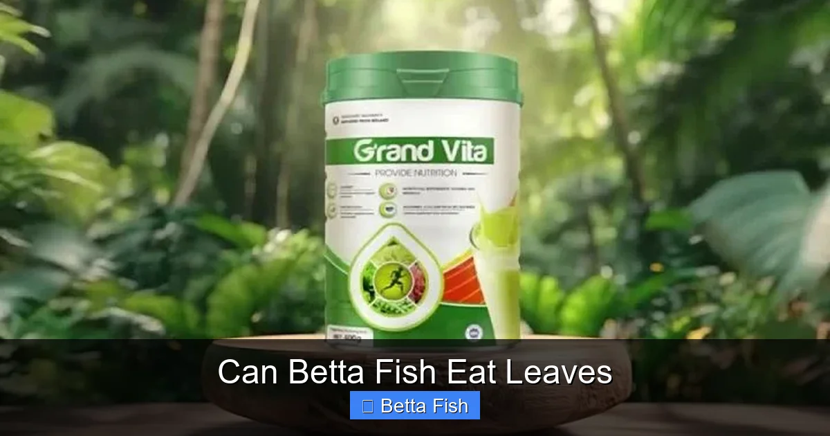 Can Betta Fish Eat Leaves