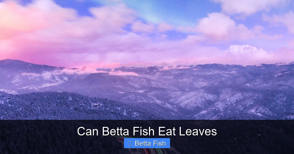 Can Betta Fish Eat Leaves