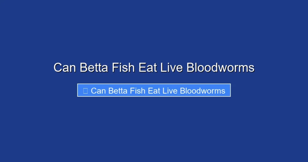 Can Betta Fish Eat Live Bloodworms