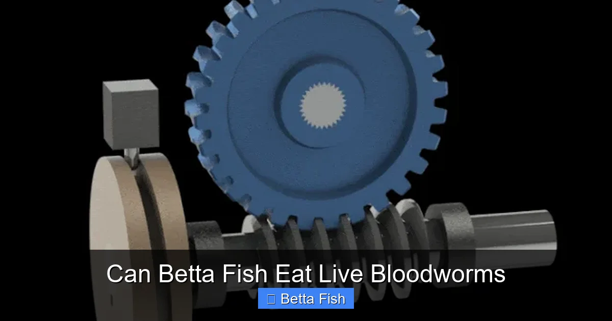 Can Betta Fish Eat Live Bloodworms