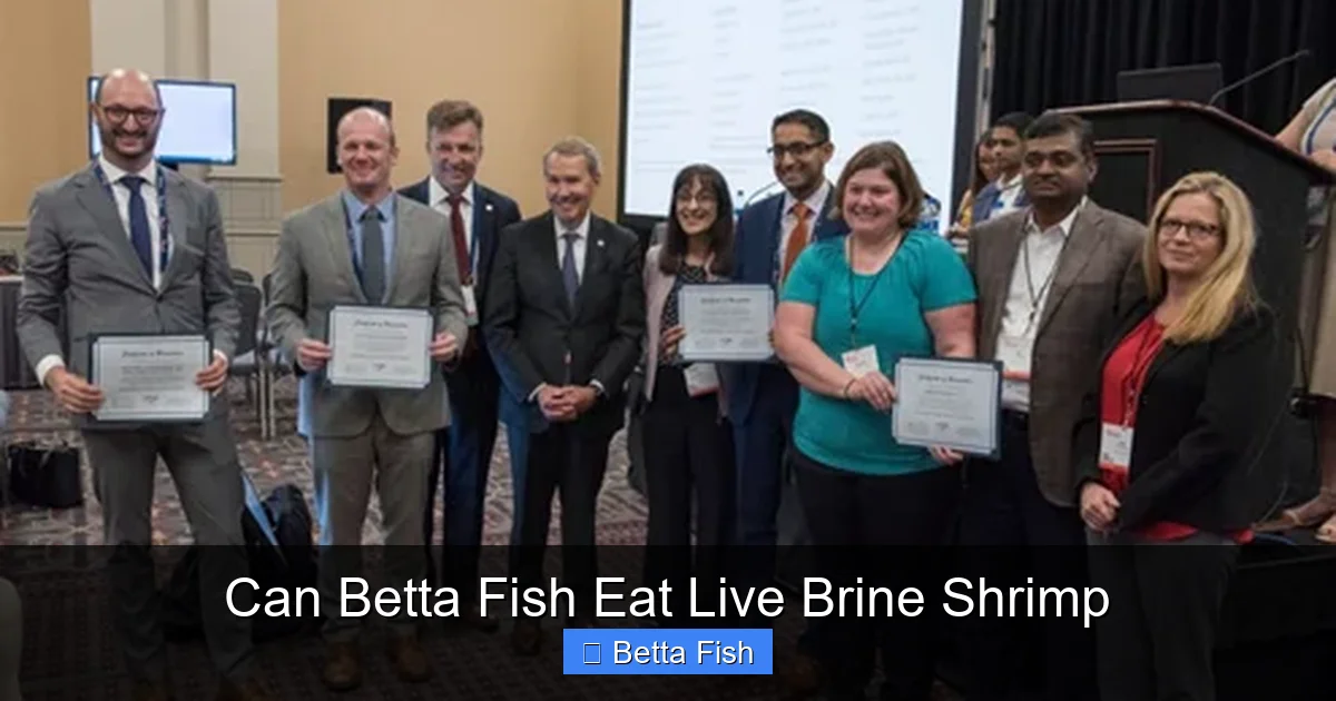 Can Betta Fish Eat Live Brine Shrimp