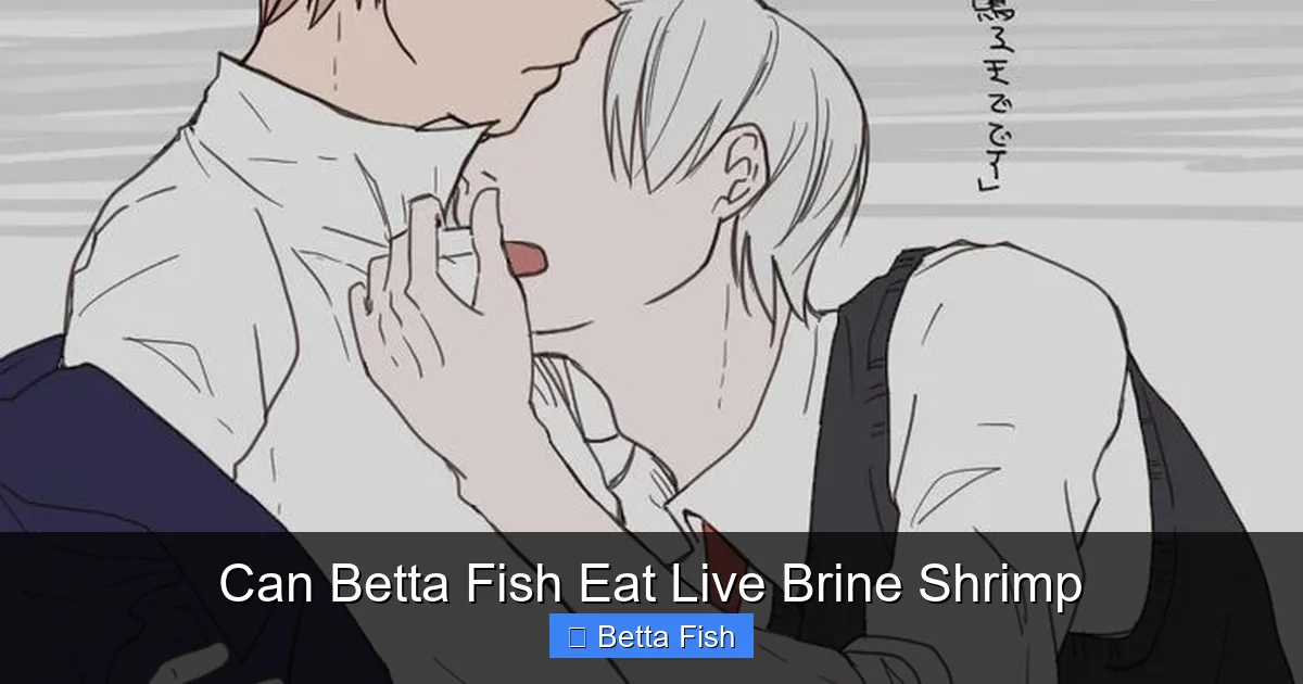 Can Betta Fish Eat Live Brine Shrimp