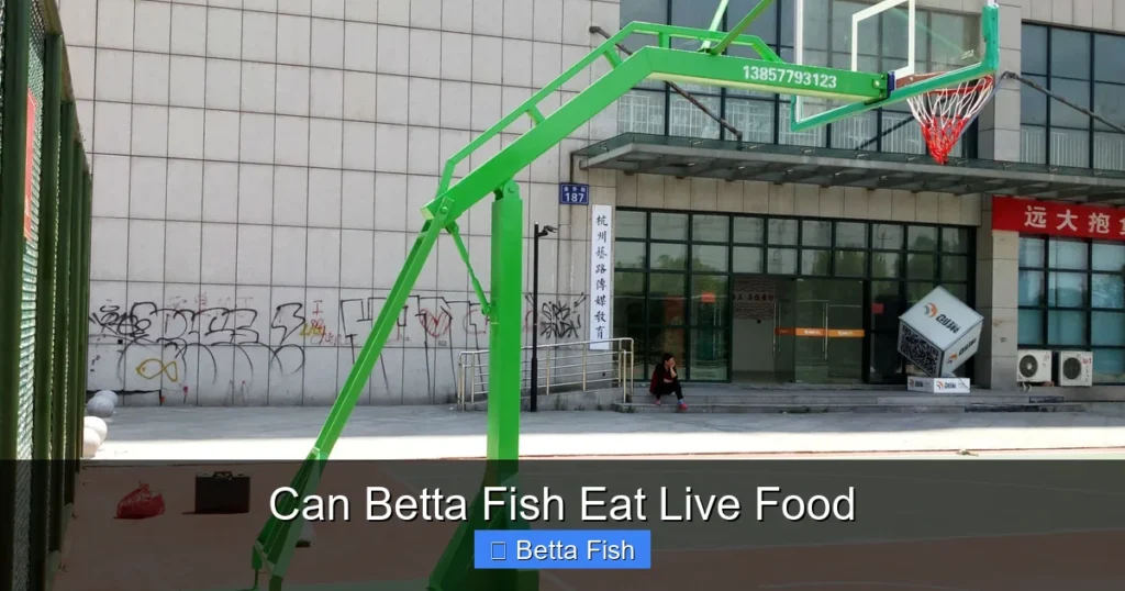 Can Betta Fish Eat Live Food