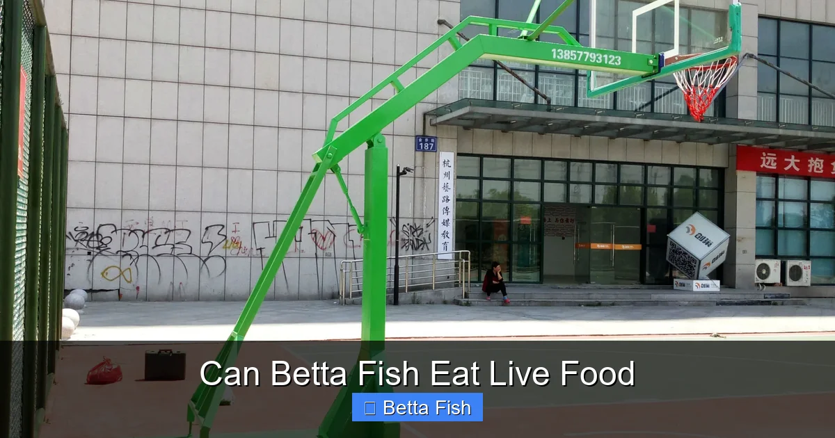 Can Betta Fish Eat Live Food