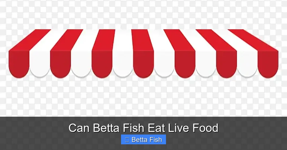 Can Betta Fish Eat Live Food