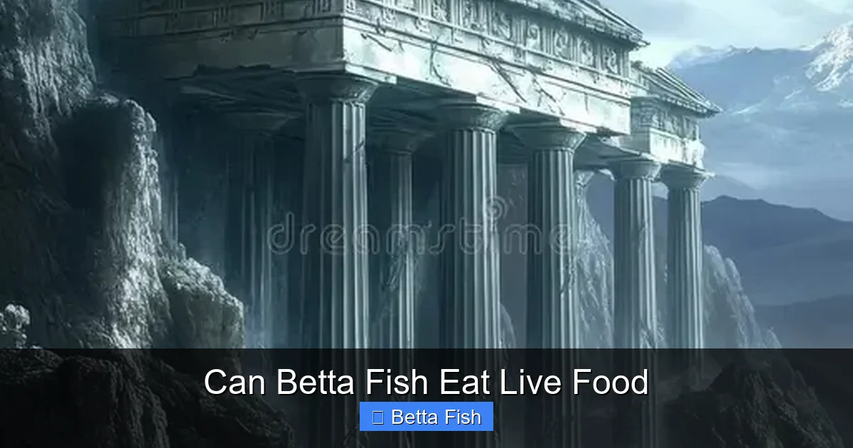 Can Betta Fish Eat Live Food