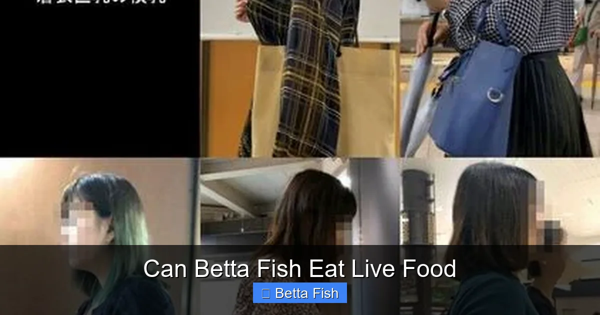 Can Betta Fish Eat Live Food