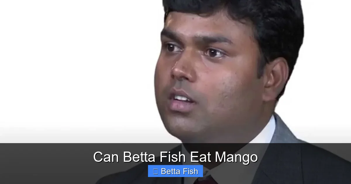 Can Betta Fish Eat Mango