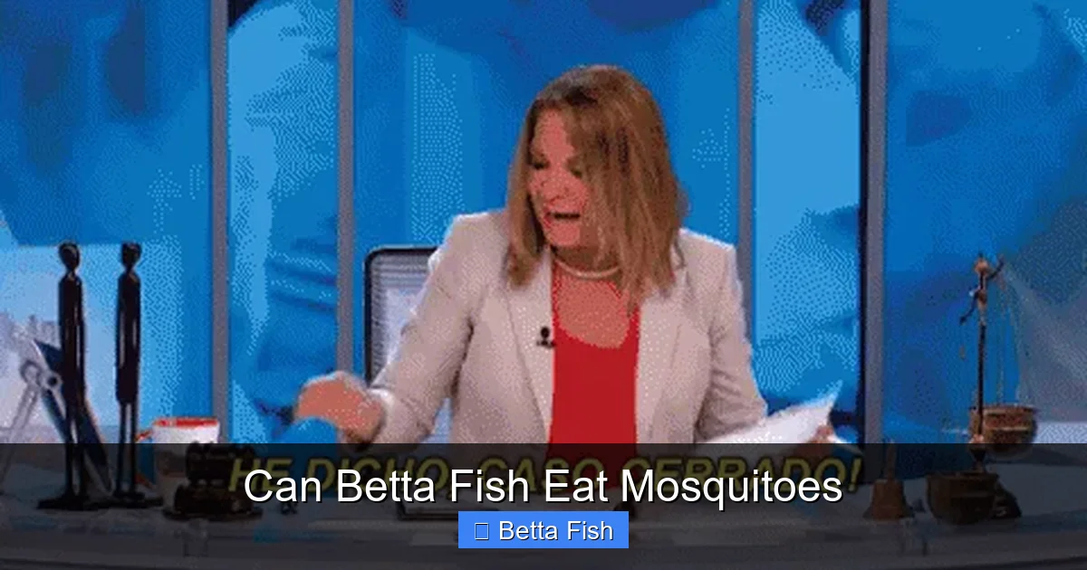 Can Betta Fish Eat Mosquitoes