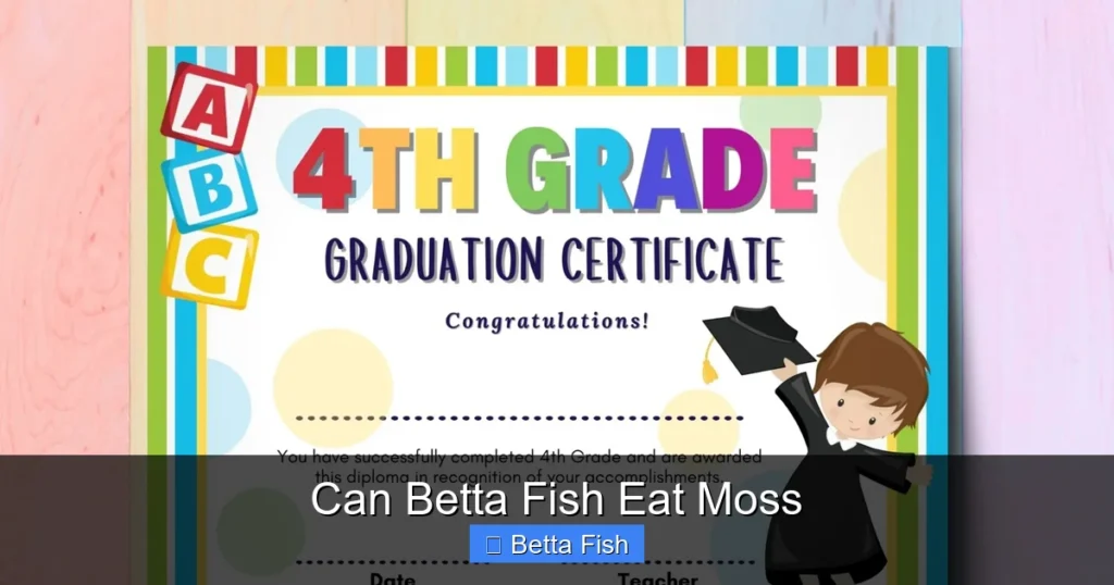 Can Betta Fish Eat Moss