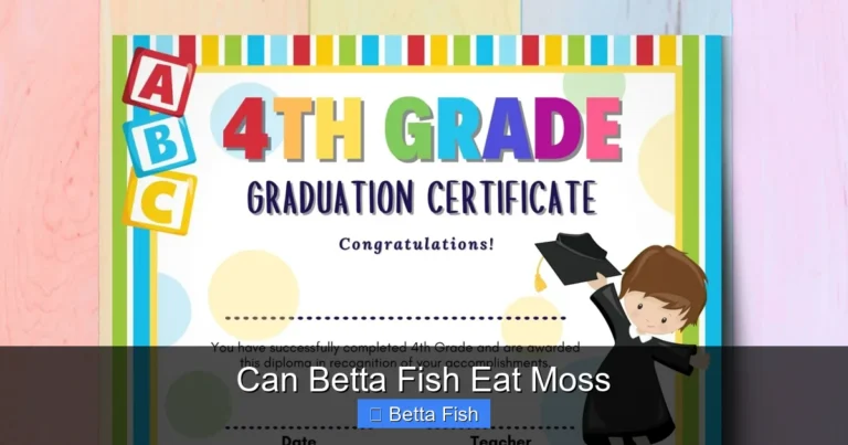 Can Betta Fish Eat Moss