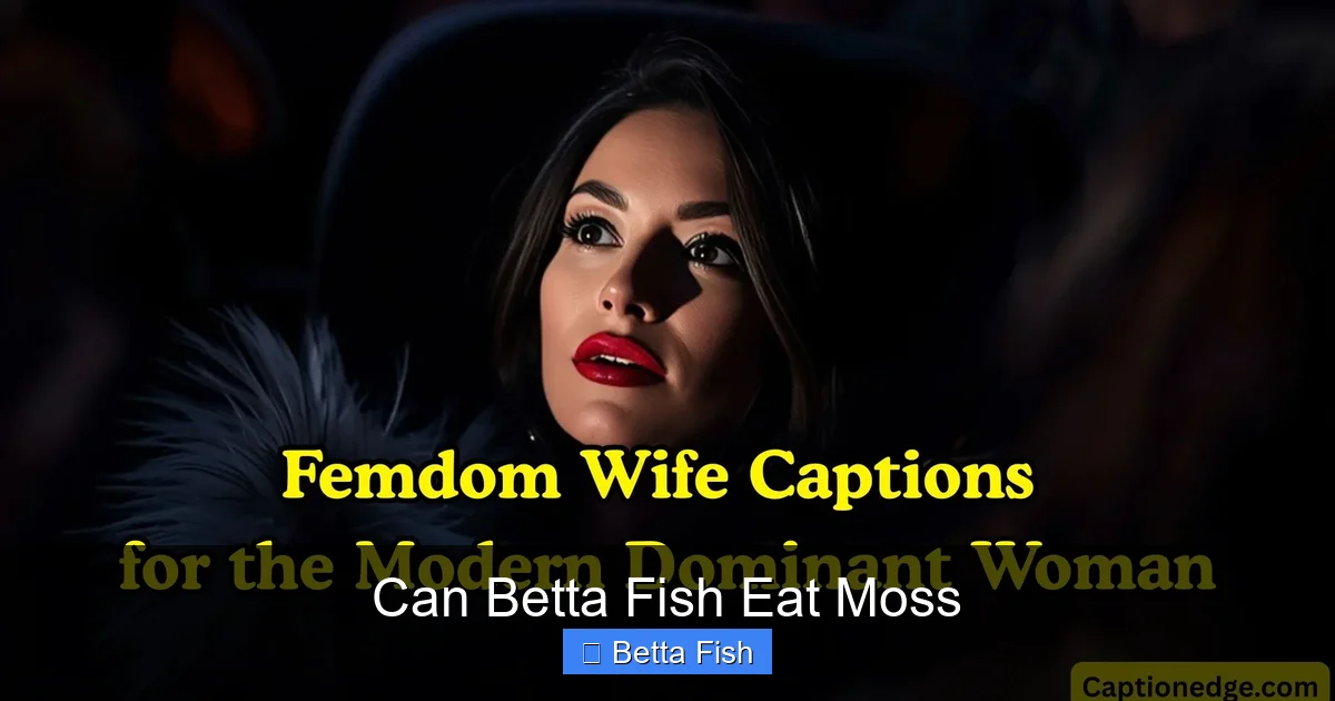 Can Betta Fish Eat Moss