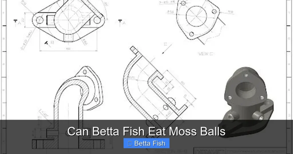 Can Betta Fish Eat Moss Balls