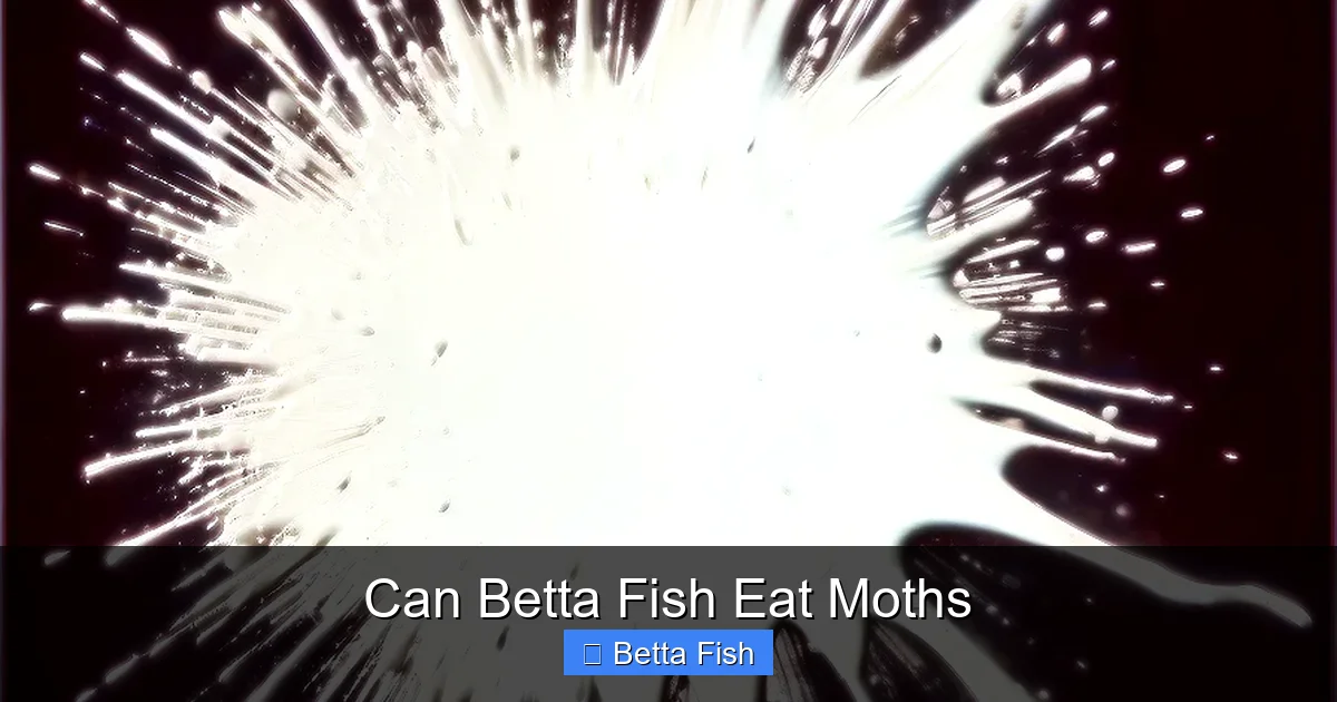 Can Betta Fish Eat Moths