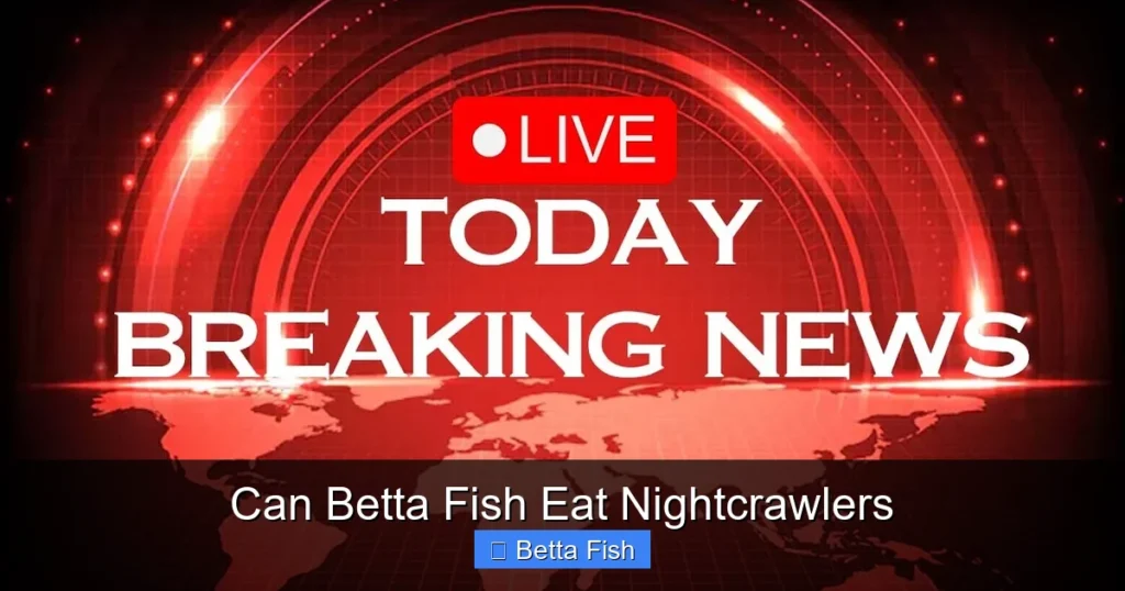 Can Betta Fish Eat Nightcrawlers