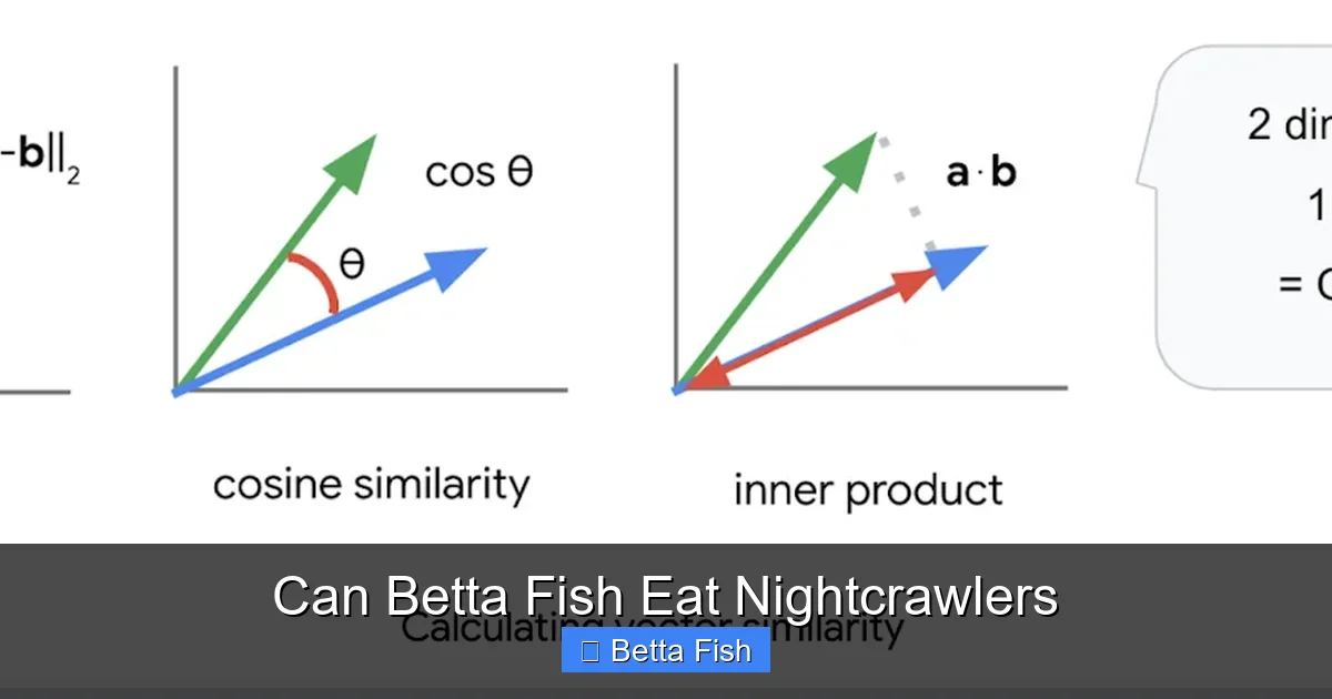 Can Betta Fish Eat Nightcrawlers