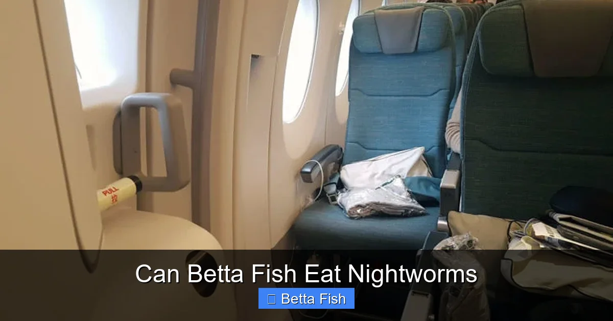 Can Betta Fish Eat Nightworms