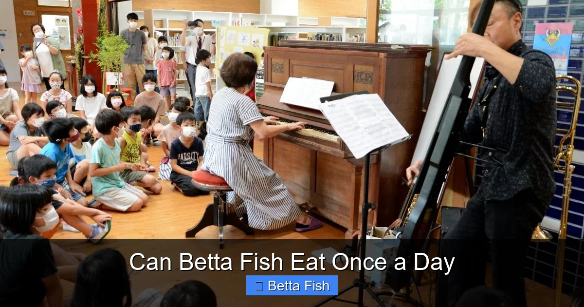 Can Betta Fish Eat Once a Day