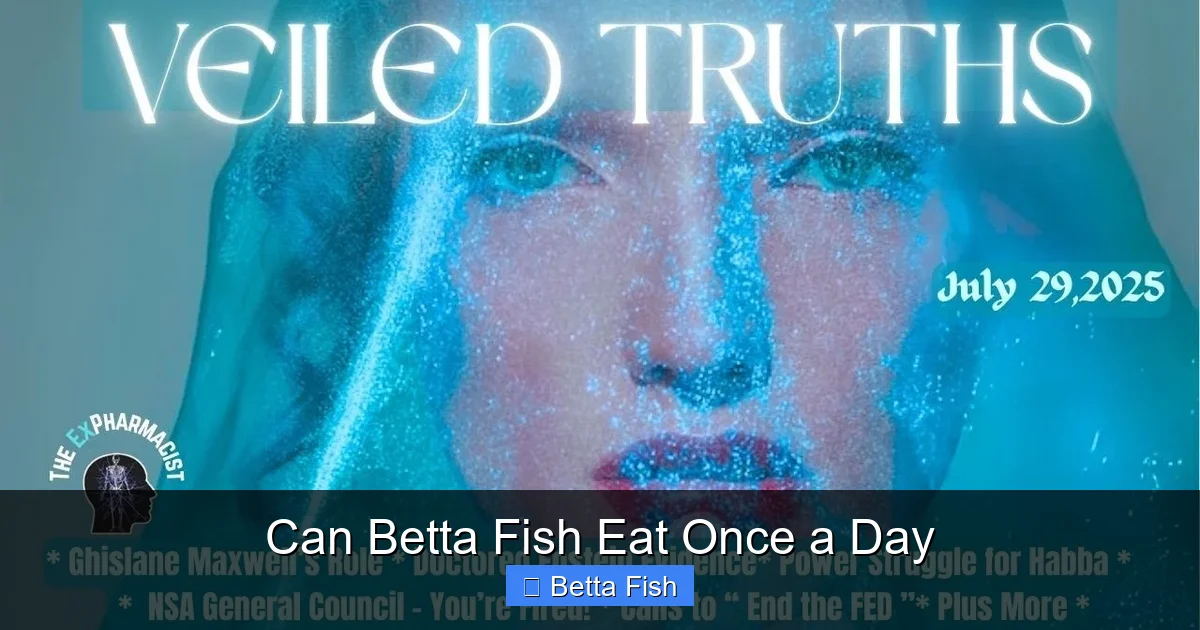 Can Betta Fish Eat Once a Day