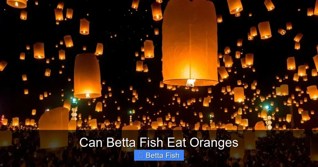 Can Betta Fish Eat Oranges