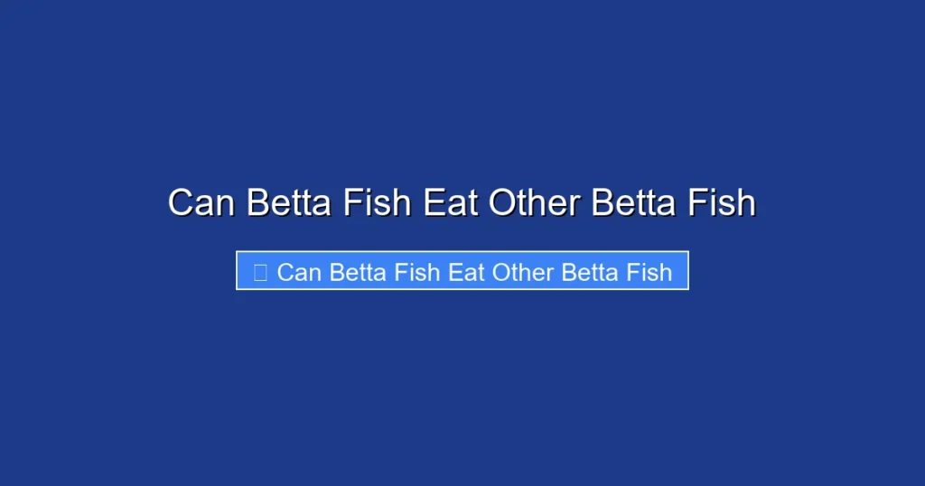 Can Betta Fish Eat Other Betta Fish