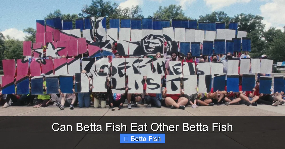 Can Betta Fish Eat Other Betta Fish
