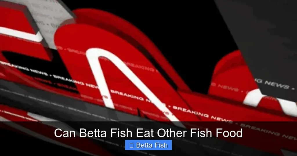 Can Betta Fish Eat Other Fish Food