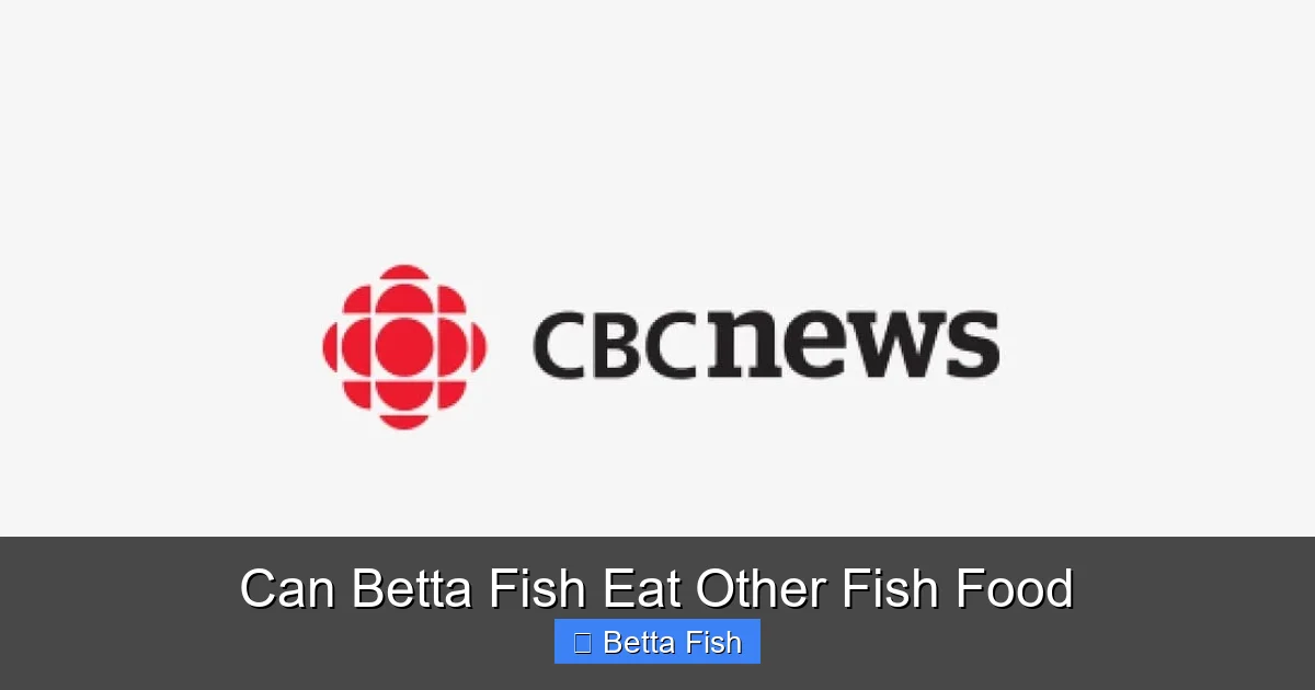 Can Betta Fish Eat Other Fish Food