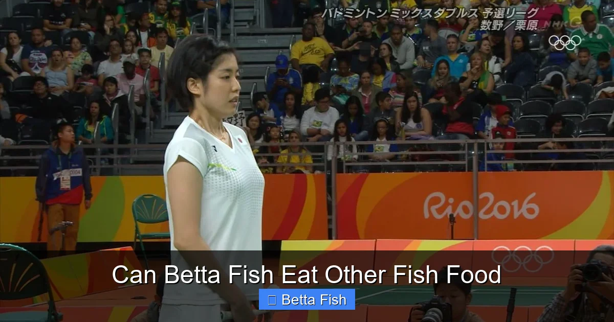 Can Betta Fish Eat Other Fish Food