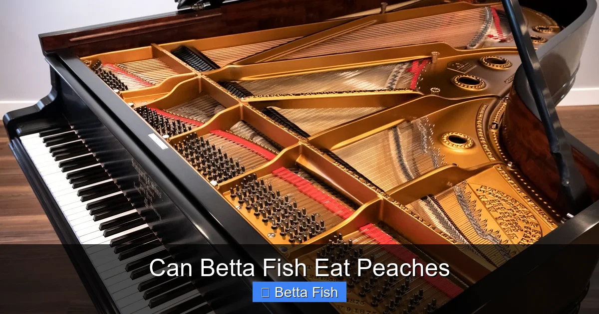 Can Betta Fish Eat Peaches