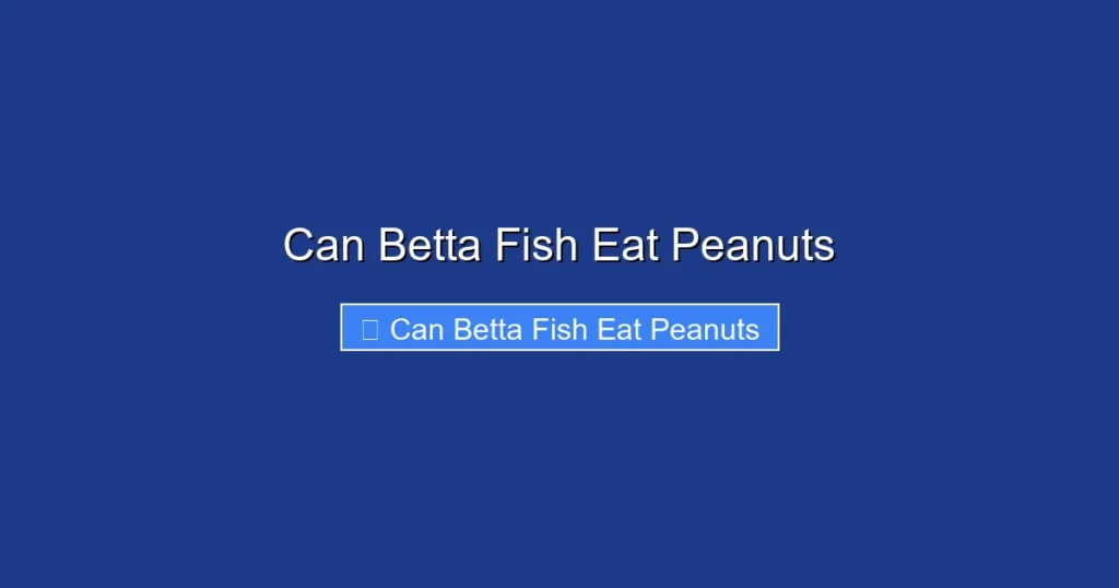 Can Betta Fish Eat Peanuts