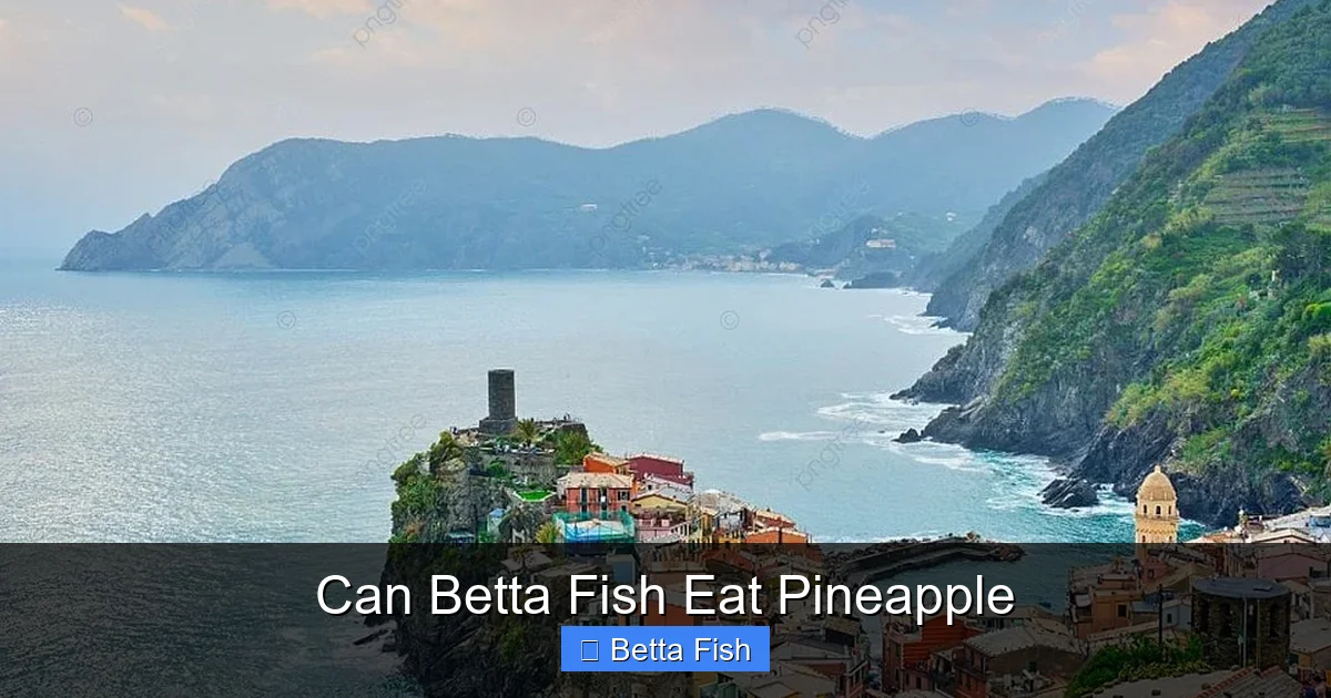 Can Betta Fish Eat Pineapple