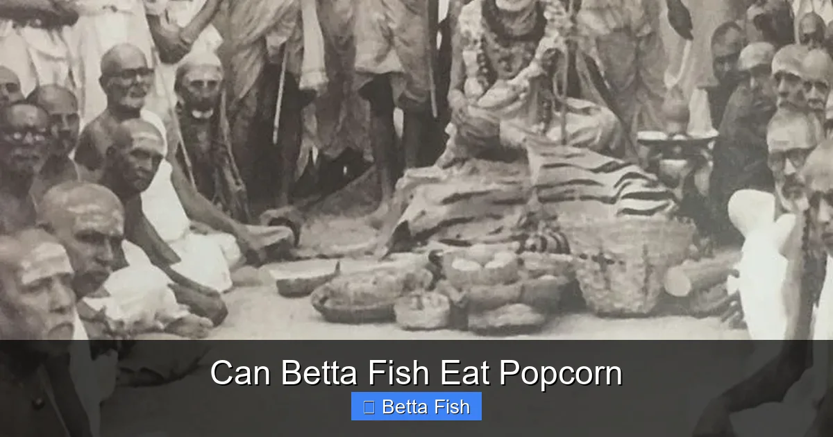 Can Betta Fish Eat Popcorn
