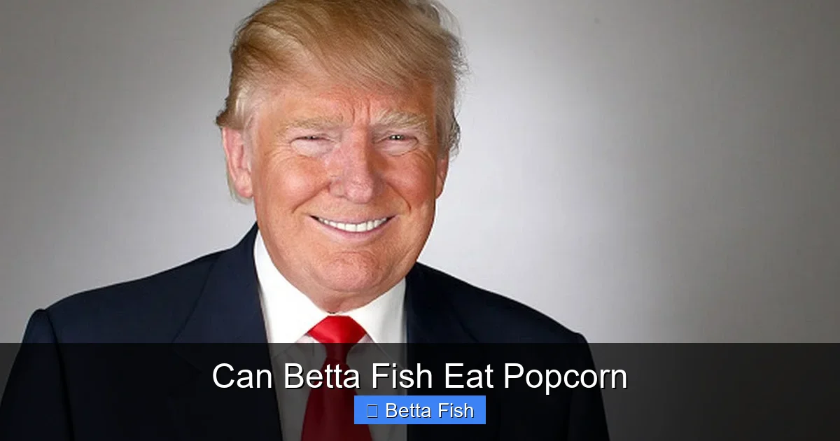 Can Betta Fish Eat Popcorn