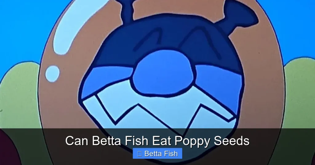 Can Betta Fish Eat Poppy Seeds