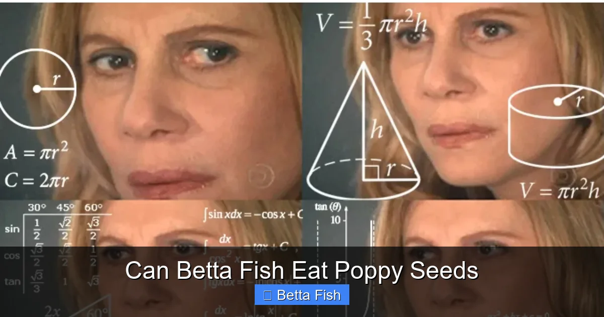 Can Betta Fish Eat Poppy Seeds