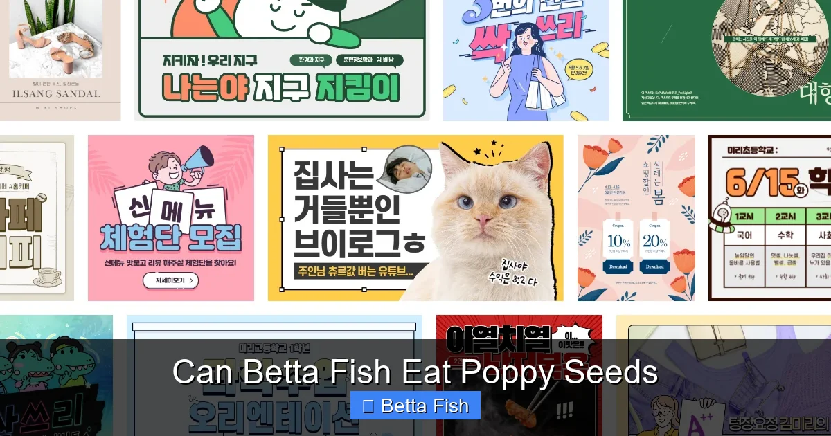 Can Betta Fish Eat Poppy Seeds