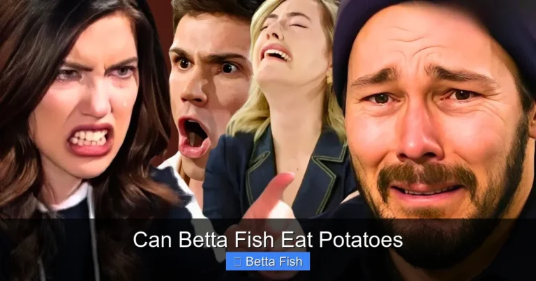 Can Betta Fish Eat Potatoes