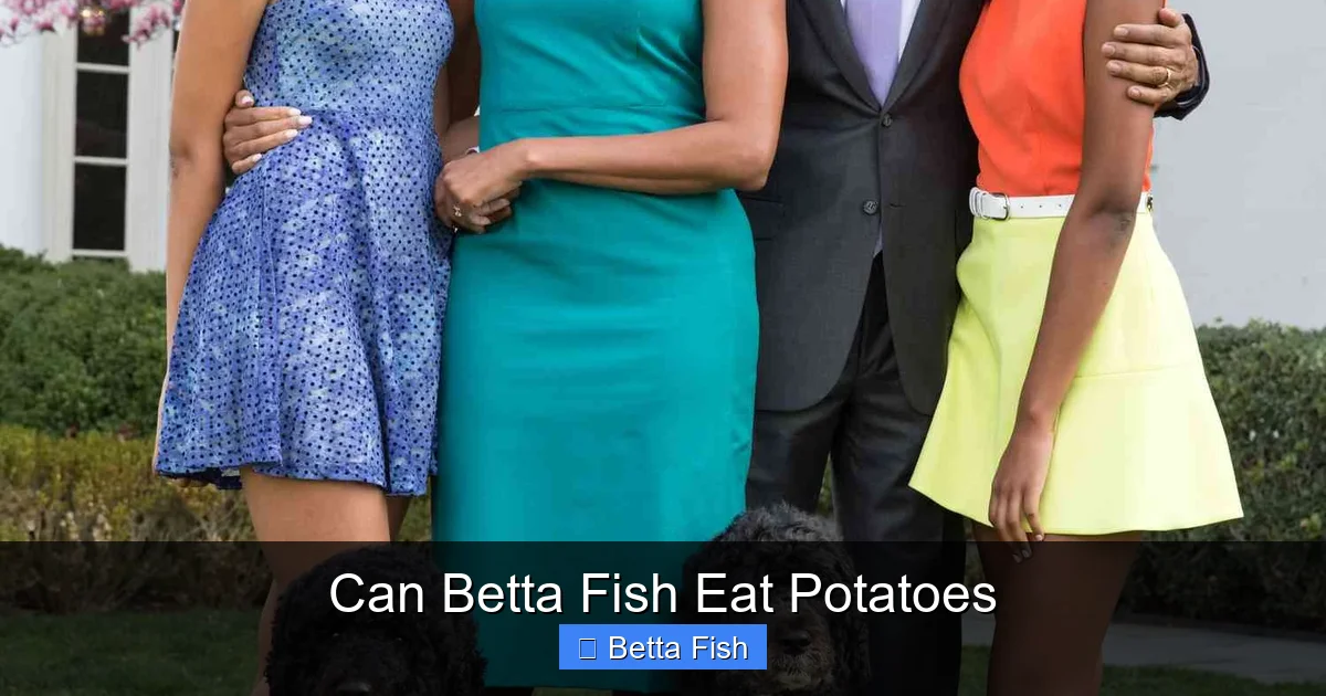 Can Betta Fish Eat Potatoes