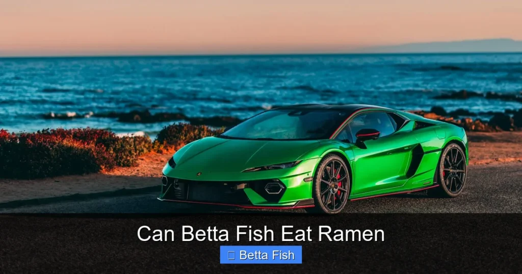 Can Betta Fish Eat Ramen