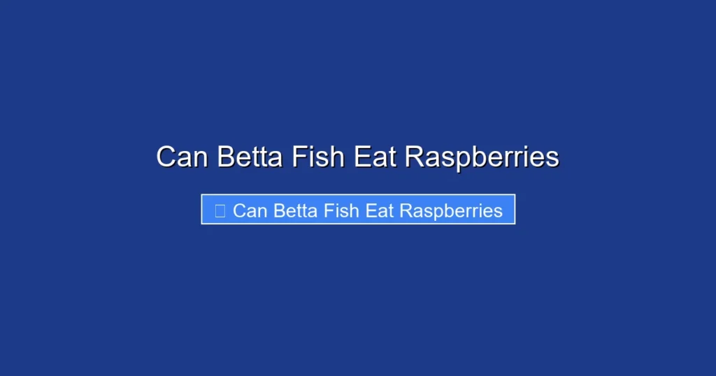 Can Betta Fish Eat Raspberries