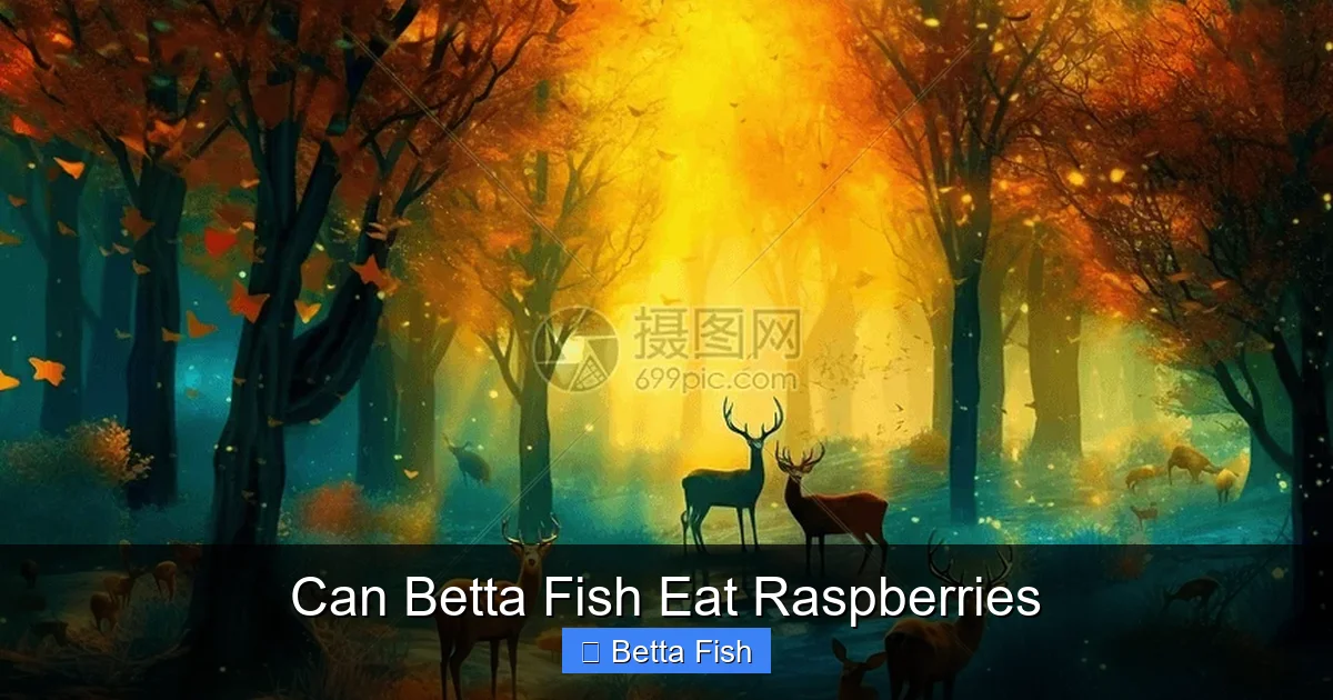 Can Betta Fish Eat Raspberries