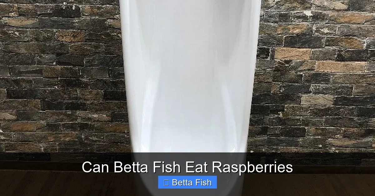 Can Betta Fish Eat Raspberries